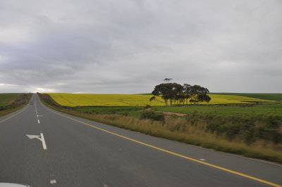20090821094856 - Garden Route Coastal Panorama