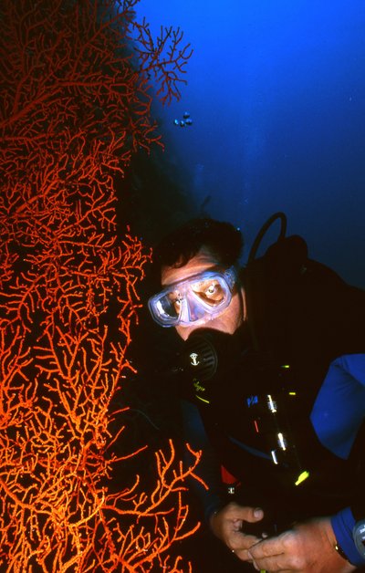 Palau   Shane And Fan