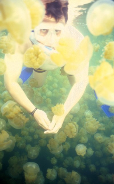 Palau   Shane In Jelly Fish Lake Front